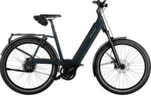 Riese&Müller Nevo4 GT Vario