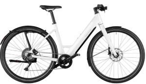Riese&Müller UBN Six Touring