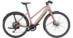 Riese&Müller UBN Seven Vario