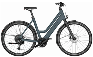 Riese&Müller Culture Mixte Touring