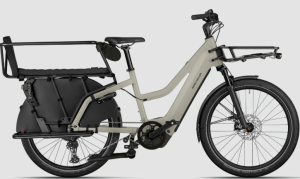 Riese&Müller Multicharger3 Mixte Vario
